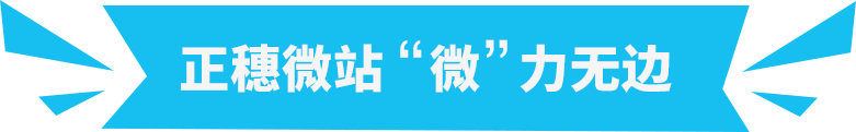 {$title}