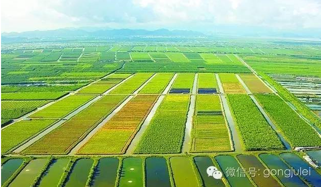 地方號(hào)運(yùn)營(yíng)