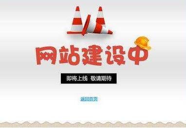 定制化的網(wǎng)站建設(shè).jpg